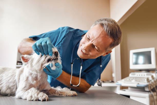 Best Emergency Root Canal Treatment in Bloomgton, IN