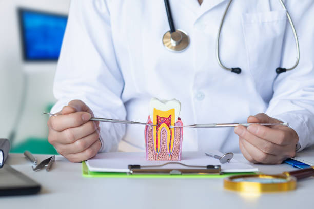 Best Mobile Emergency Dentist in Bloomgton, IN